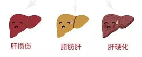 大蒜的功效和禁忌