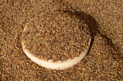 苦荞米的功效与作用，苦荞米的食用方法有哪些