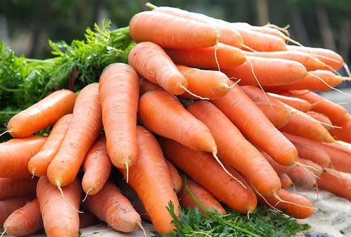 胡萝卜的功效与作用，胡萝卜的食用方法有哪些