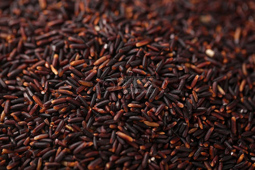 紫米的功效与作用，紫米的食用方法有哪些