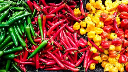 胡椒的功效与作用，胡椒的食用禁忌有哪些