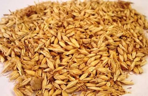 麦芽的功效与作用，麦芽的食用方法有哪些